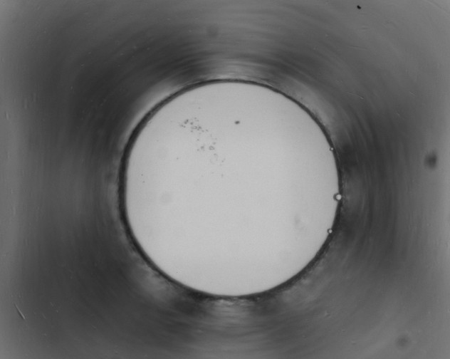 X0000103971138200809261828