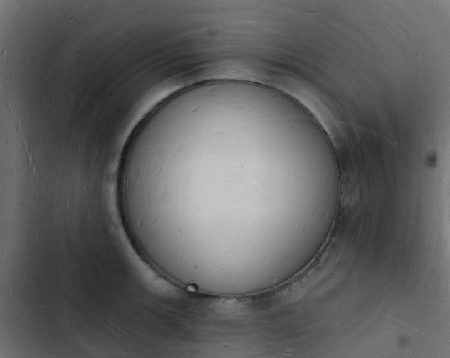 X0000103971139200809261828