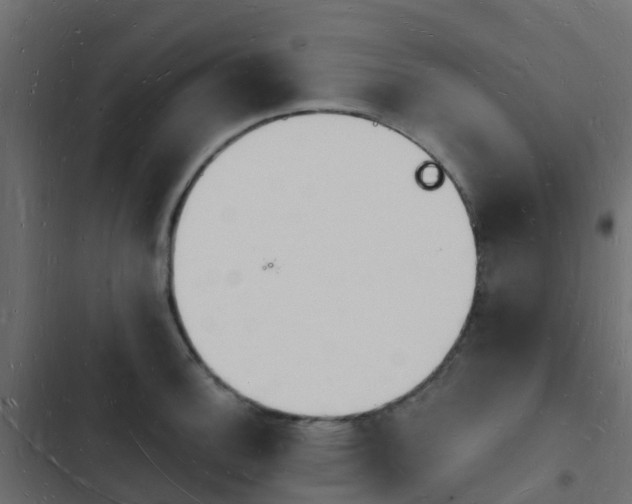 X0000103971140200809261828