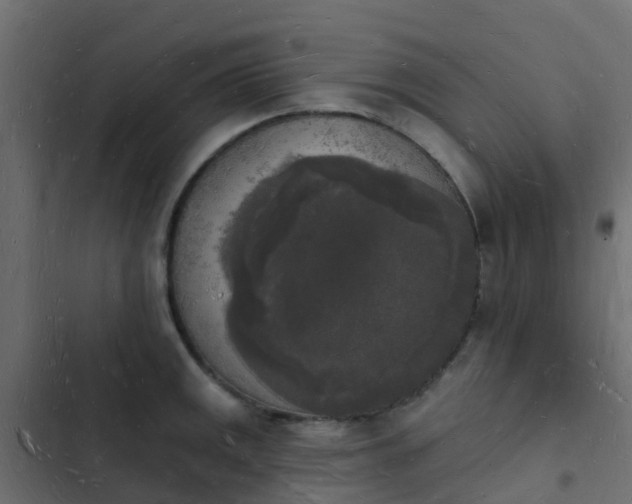 X0000103971141200809261828