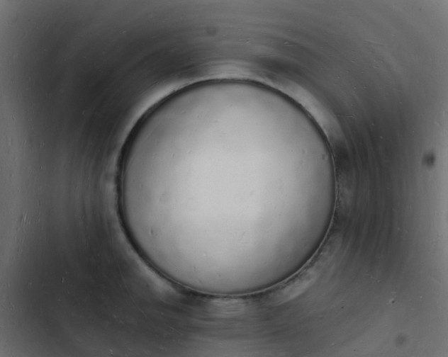 X0000103971142200809261828