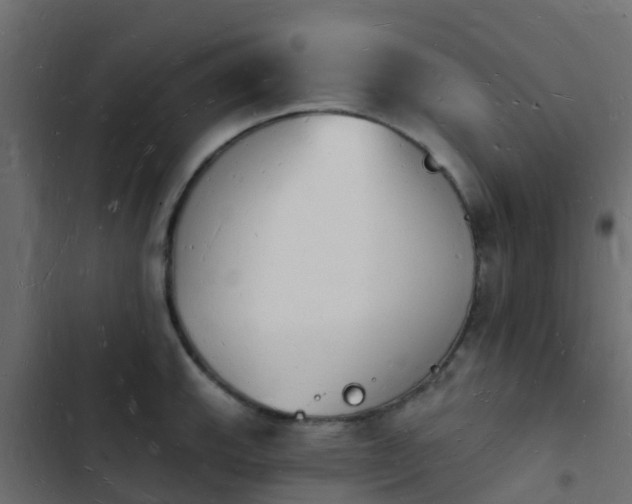 X0000103971143200809261828