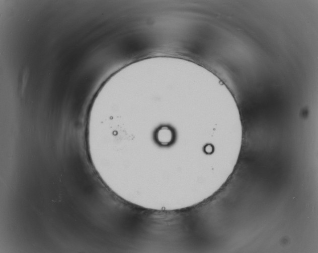 X0000103971146200809261828