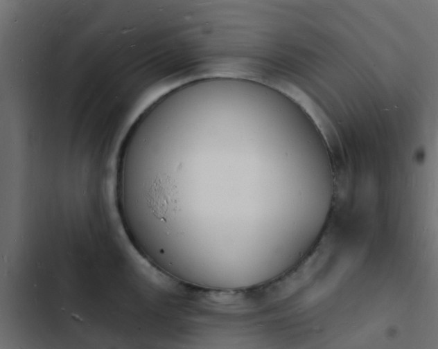 X0000103971147200809261828