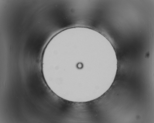 X0000103971148200809261828