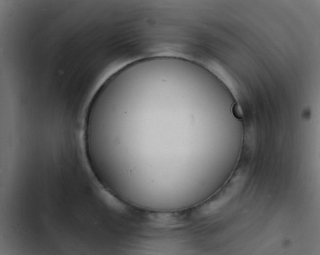 X0000103971149200809261829