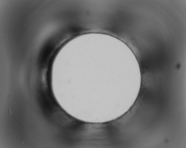 X0000103971150200809261829