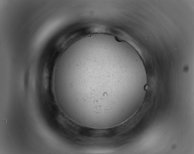 X0000103971151200809261829