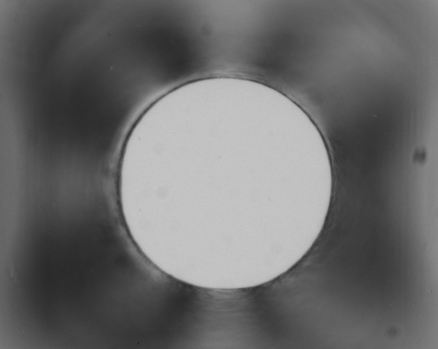 X0000103971152200809261829