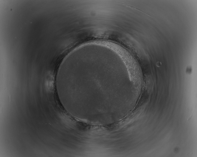 X0000103971154200809261828