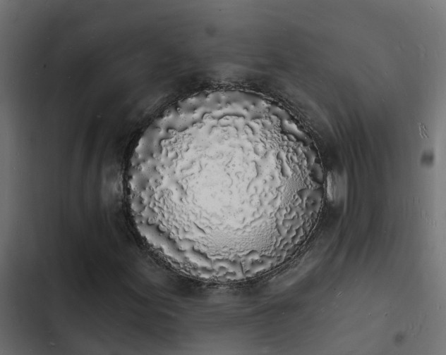 X0000103971155200809261828