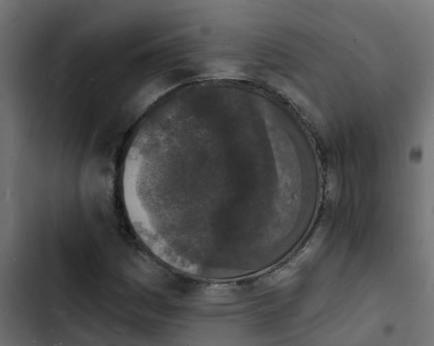 X0000103971161200809261828