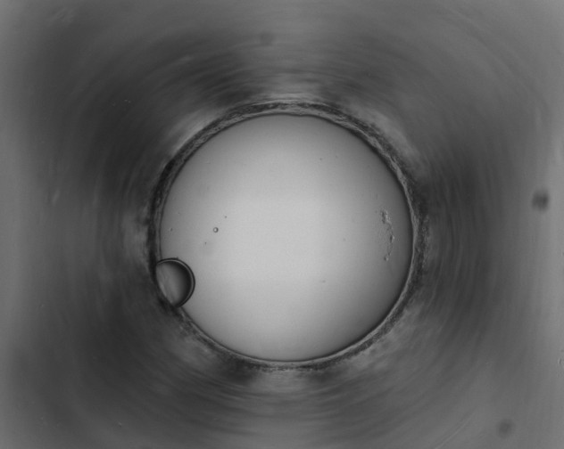 X0000103971162200809261828