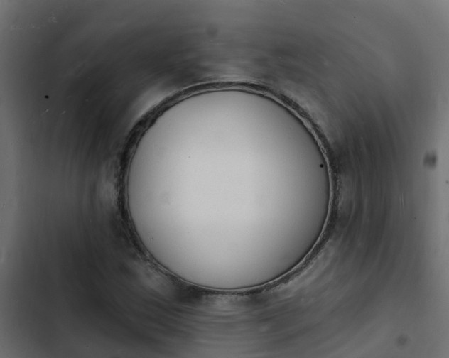 X0000103971163200809261828