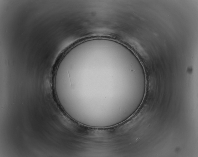 X0000103971164200809261828