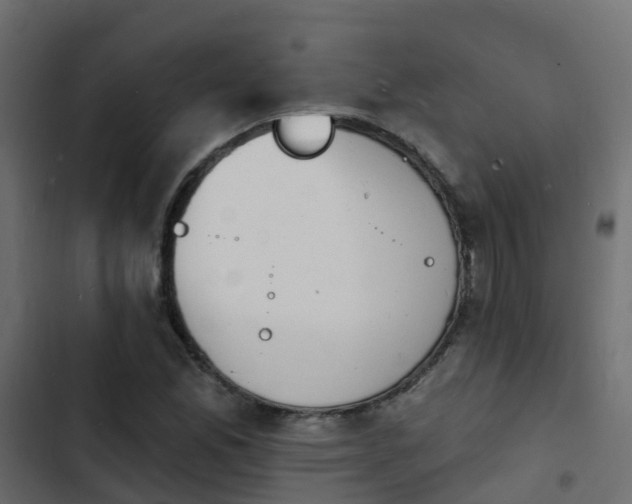 X0000103971165200809261828