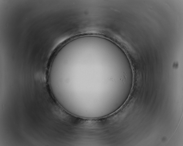 X0000103971166200809261828