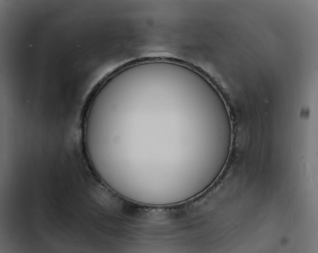 X0000103971167200809261828