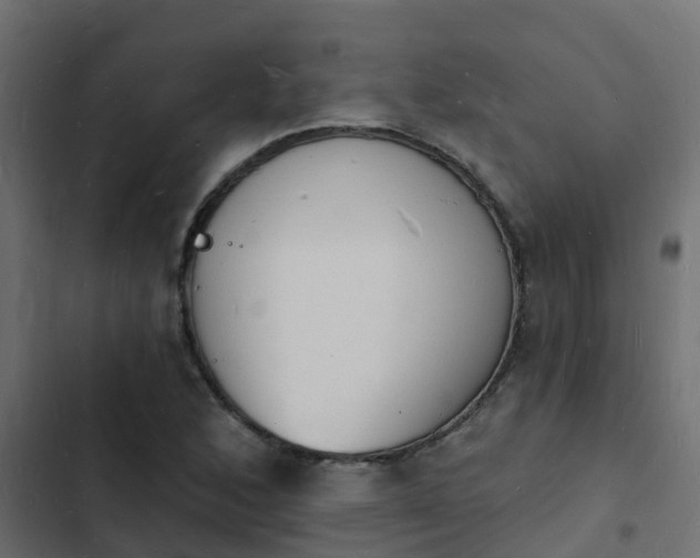 X0000103971168200809261828