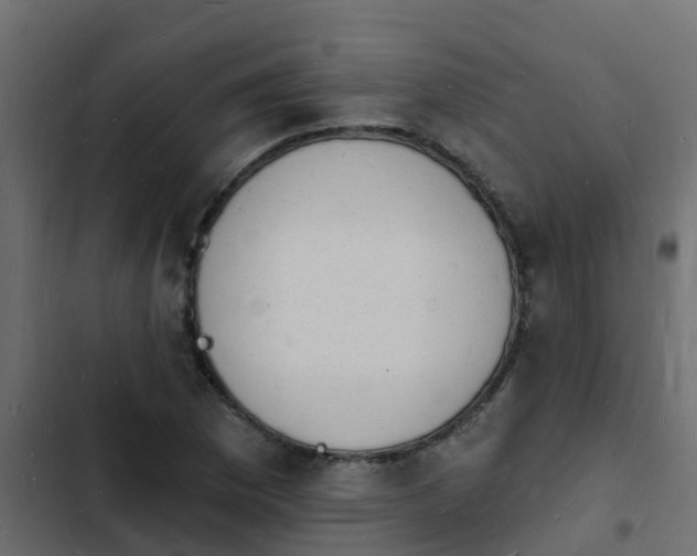 X0000103971169200809261827