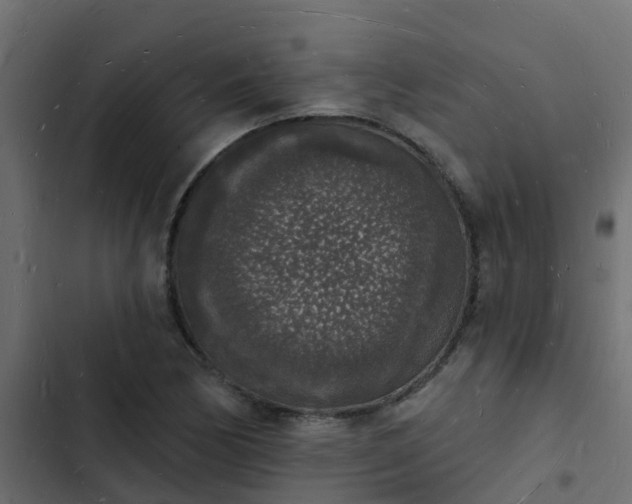 X0000103971170200809261827