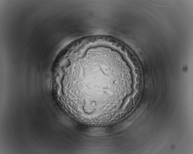 X0000103971171200809261827