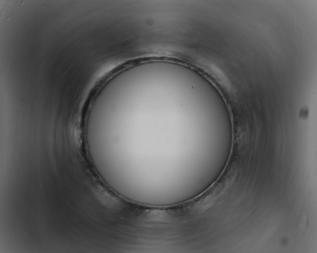 X0000103971172200809261827