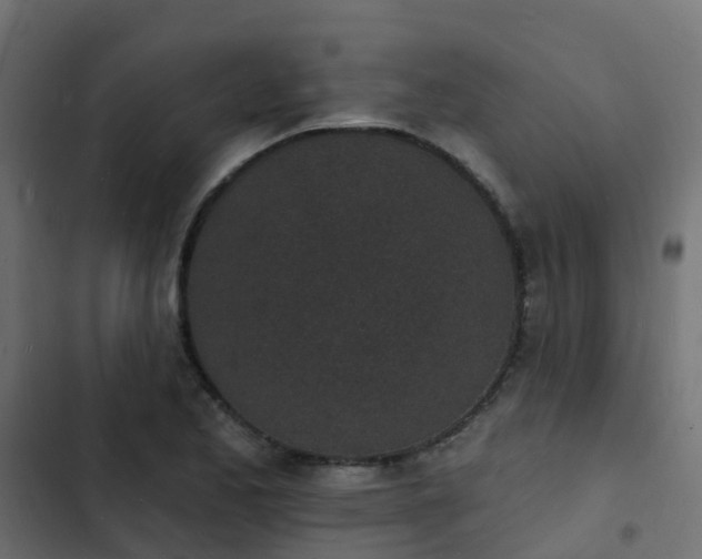 X0000103971173200809261827