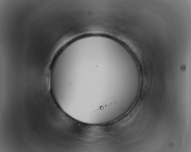 X0000103971175200809261827