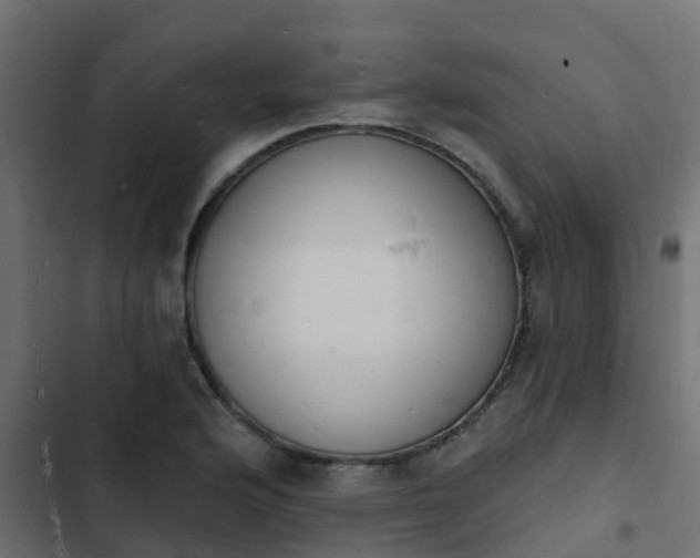 X0000103971176200809261827