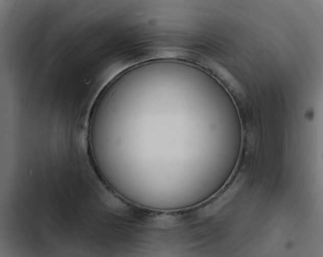 X0000103971178200809261827