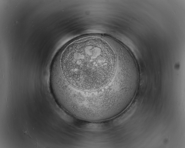 X0000103971179200809261827