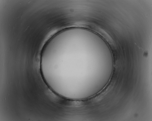 X0000103971180200809261827