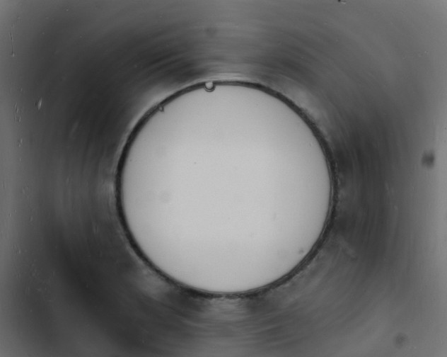 X0000103971181200809261827