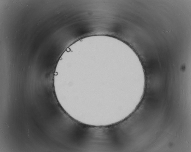 X0000103971185200809261827