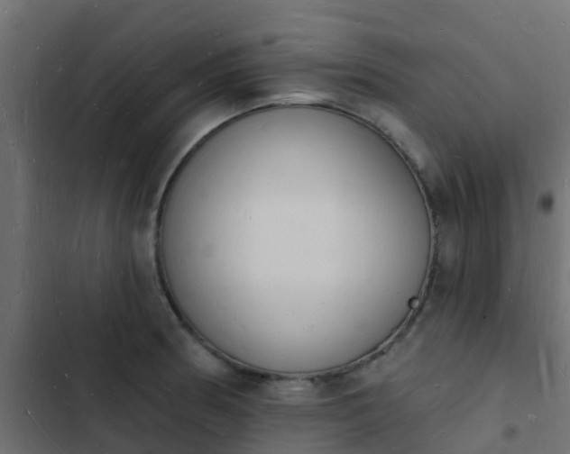 X0000103971186200809261827