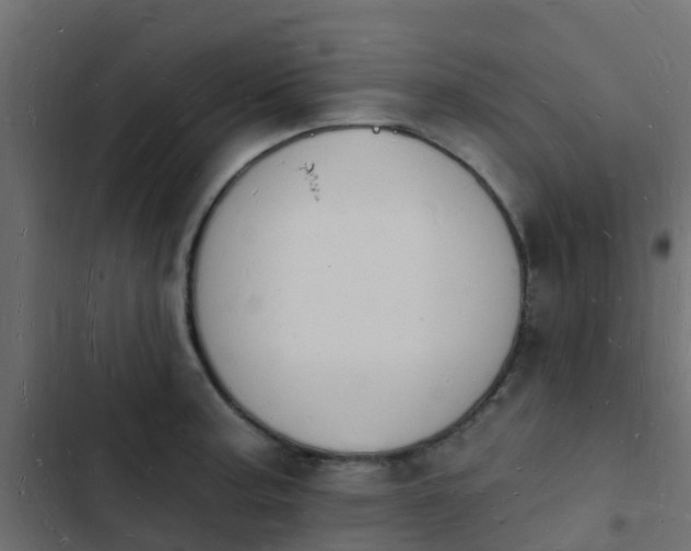 X0000103971187200809261827