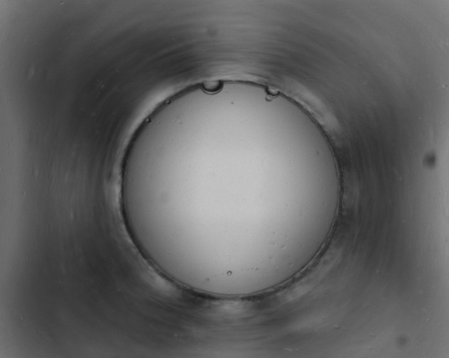 X0000103971188200809261827