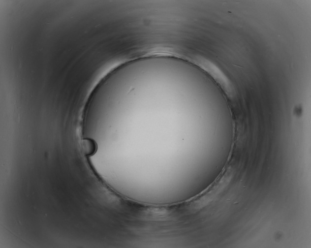 X0000103971190200809261827