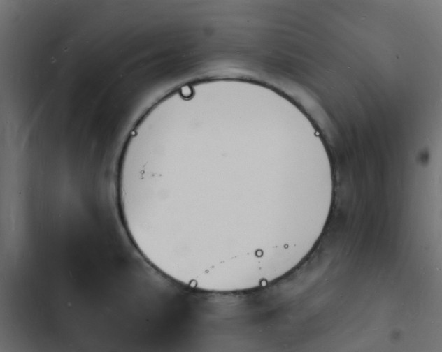 X0000103971191200809261827