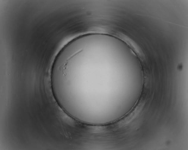 X0000103971192200809261827