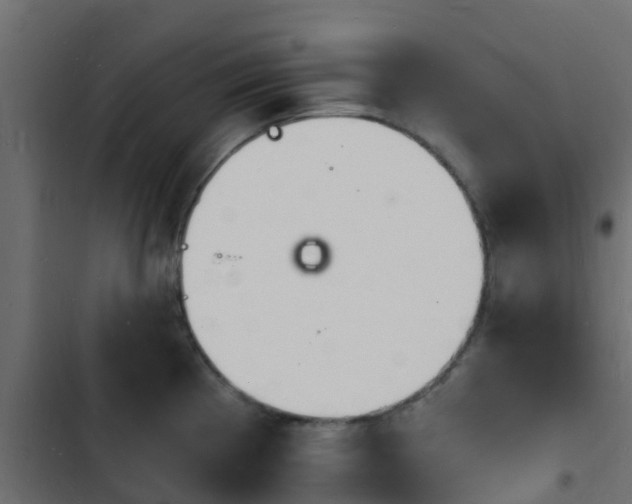 X0000103971193200809261827