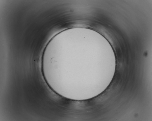 X0000103971195200809261827