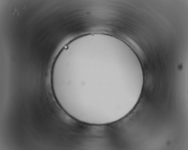 X0000103971196200809261827