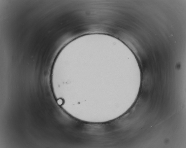 X0000103971197200809261827