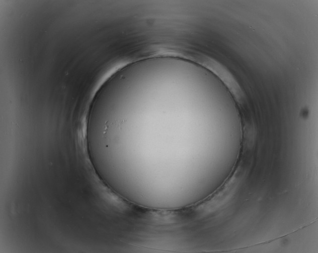 X0000103971198200809261827