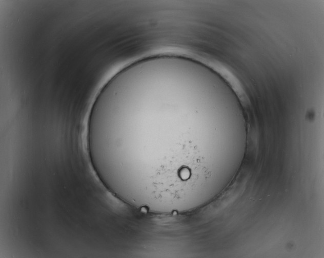 X0000103971199200809261827