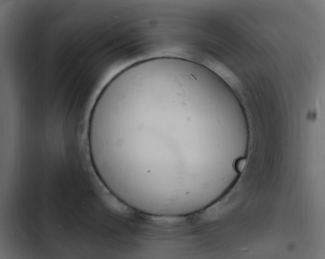 X0000103971200200809261827