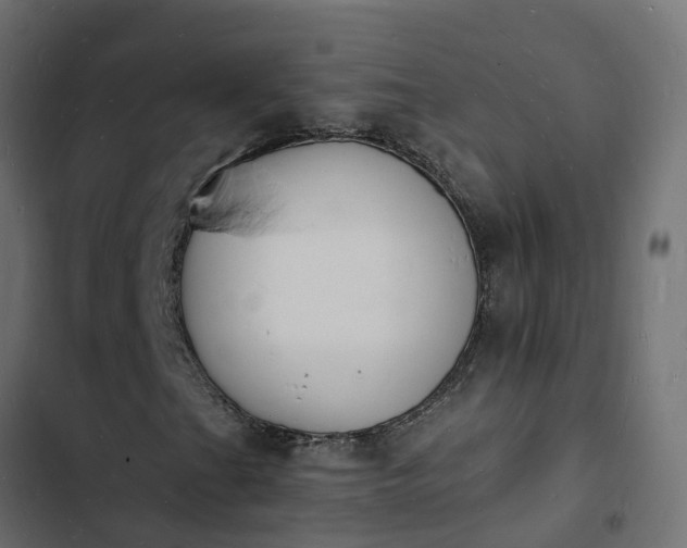 X0000103971201200809261826