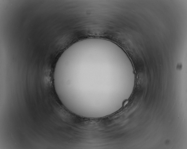 X0000103971202200809261826